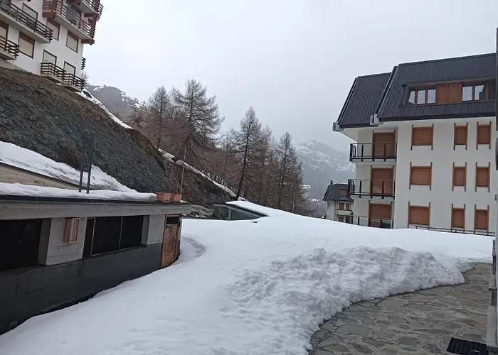 Fiocco Di Sole *